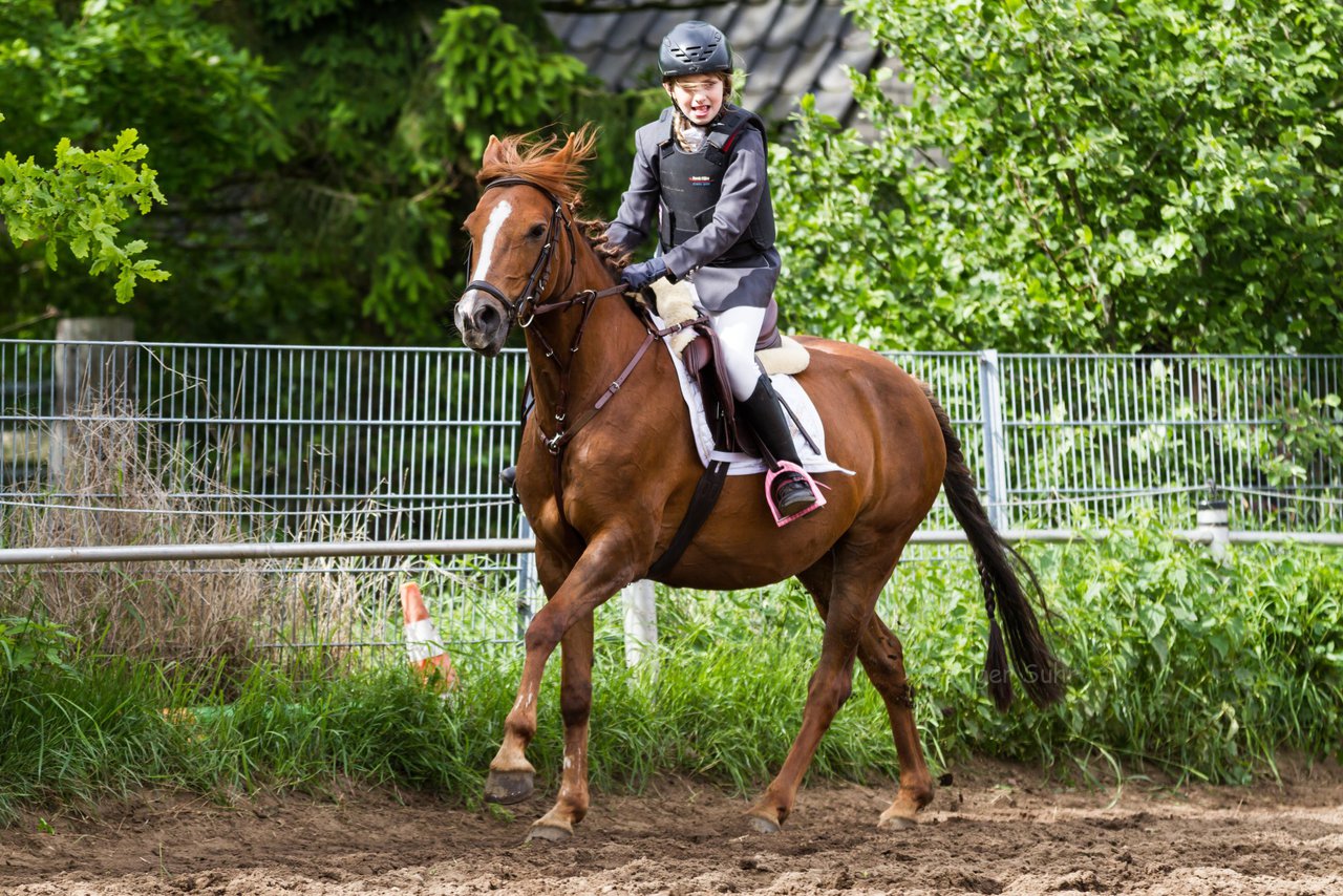 Bild 165 - Reitschule Janen Jubilum